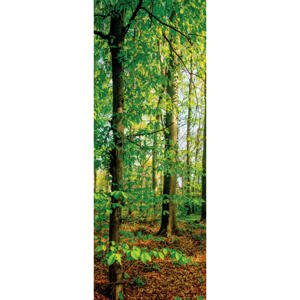 Euroart OBRAZ NA PLÁTNĚ, stromy, 30/80/3 cm